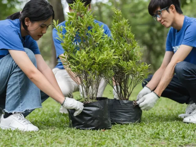 dedicated-volunteer-team-planting-young-trees-park-contributing-to-environmental-conservation-community-engagement-322816241